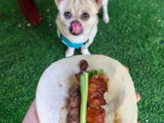 -亲兄弟真人CS团建拓展基地