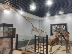 -游龙石文化科普馆