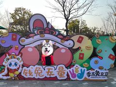 -季高兔窝窝亲子园(上海薰衣草公园店)