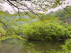 -关门山森林公园