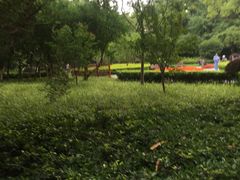 -徐家汇源景区-衡山公园