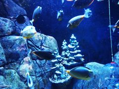 -成都浩海立方海洋公园