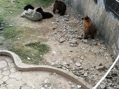 -无锡动物园·太湖欢乐园