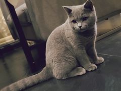 -吱咖啡西式简餐