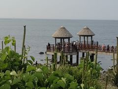 -养马岛旅游度假区