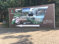 -上海海湾国家森林公园