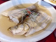 -鹅湖玫瑰文化园