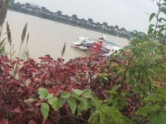 -美的鹭湖森林度假区