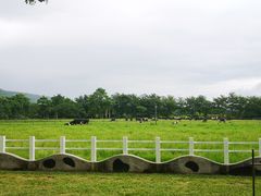 -瑞穗牧场花莲门市