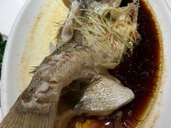 -大鸽饭(马王堆店)