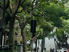 -芸山季·云南山珍菌火锅(南翔印象城MEGA店)