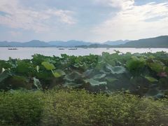 -湖畔居茶楼(湖滨店)