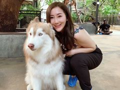 -TrueLove @ Neverland (Husky Cafe)