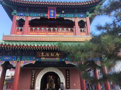 -大悲禅寺