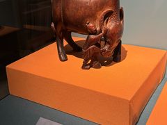 -安徽省地质博物馆