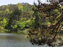 -庐山风景区花径公园