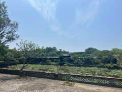-粤晖园