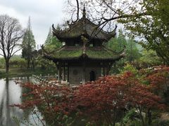 -习家池