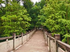 -重庆彩云湖湿地公园