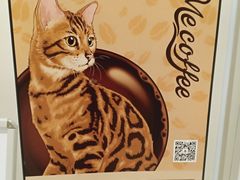 -Me Coffee下午茶艺术空间