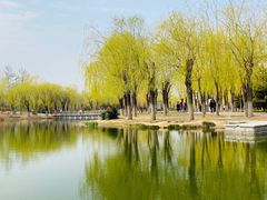 -中关村生命科学园