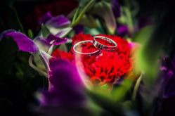 -谛融婚礼酒店·宴会厅(花园店)