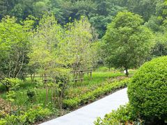 -上海佘山国家森林公园天马山园