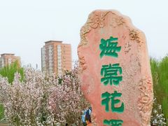 -海棠花溪(元大都城垣遗址公园)