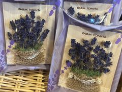 -富田农场
