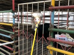 -南宫五洲植物乐园