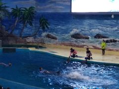 -福州罗源湾海洋世界旅游区