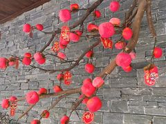 -溪岸路花鸟市场