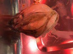 -百味源炭火烤翅 ·夜市大排档(酒仙桥店)