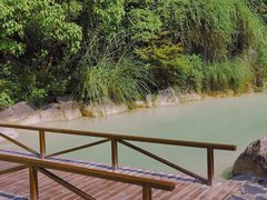 -上海吴淞炮台湾国家湿地公园