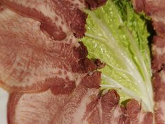 -二荆条·蜀鲜汇城市森林火锅