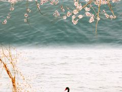 -颐和园