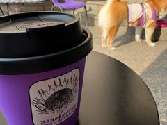 -HANA COFFEE(长寿路店)