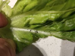 -哆来咪火锅烤肉自助(牌楼店)