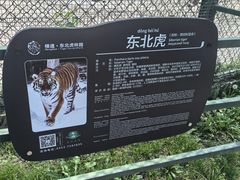 -横道河子东北虎林园
