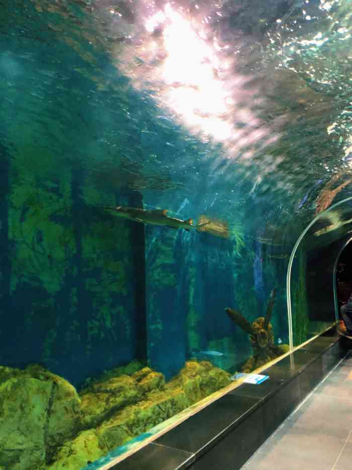 锦艺城海洋馆-"面积比较小,地下一层,几个小场馆的样子.