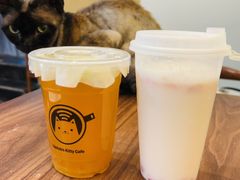 -楼上猫咖(罗湖店)