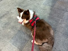 -邢氏老太太烧烤(南山店)