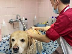-FAELING PETS美天灵宠物(富力广场店)