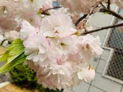 -中国石油大学（北京）(北京西校区)