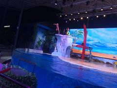 -三亚海昌梦幻海洋不夜城