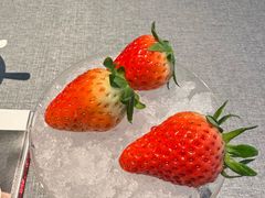 -柿合缘新京菜(国金中心商场店)