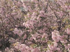-西安交通大学(雁塔校区)