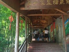 -鲤鱼塘农家山庄