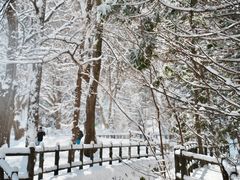 -北海道神宫