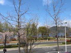 -宝荣鱼馆·临湖之宴(千岛湖店)